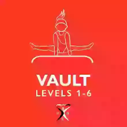Vault Levels 1-6